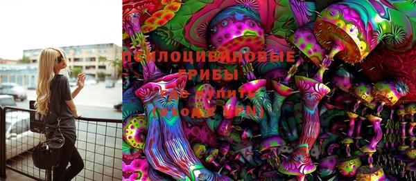 гашик Аркадак
