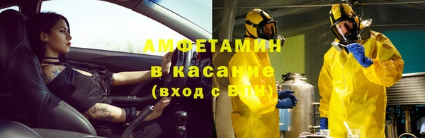 гашик Аркадак