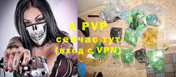 гашик Аркадак